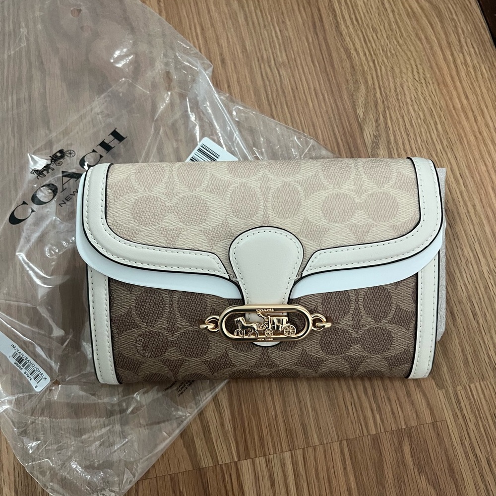 Coach Jade Chain Crossbody Bag